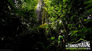 Mount Tambuyukon Expedition  